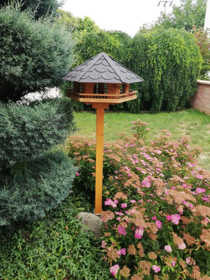 Balaca Panzio Veszprem Ngoại thất bức ảnh